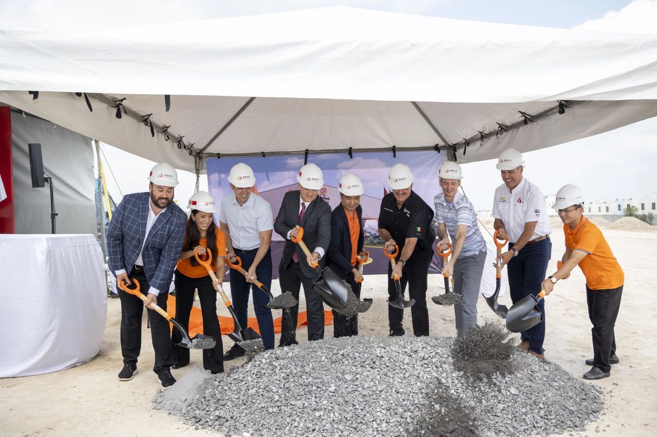 1768448232896461.jpg 8.jpg