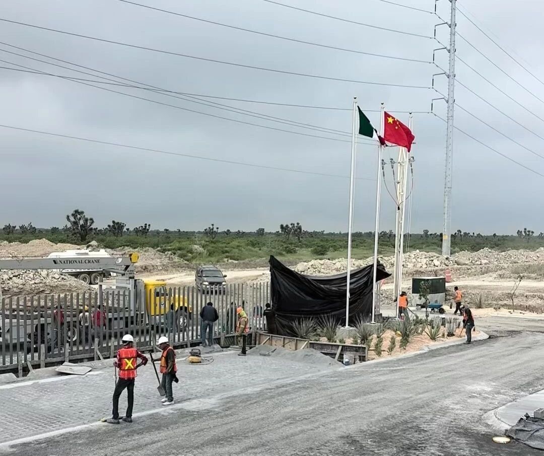 1768448926775817.jpg 1.jpg